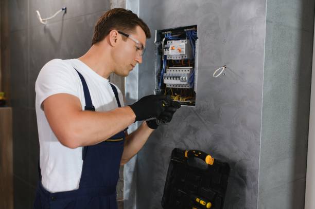 Best Electric Panel Repair  in Wildwood, FL